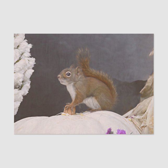 Waldeichhörnchen auf Kürbis Seidenpapier (Vorderseite)
