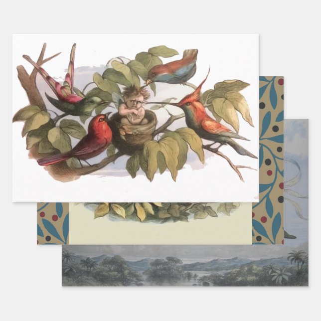 Waldelf im Nest: Antique Bird Sprite Fairy Geschenkpapier Set (Set)