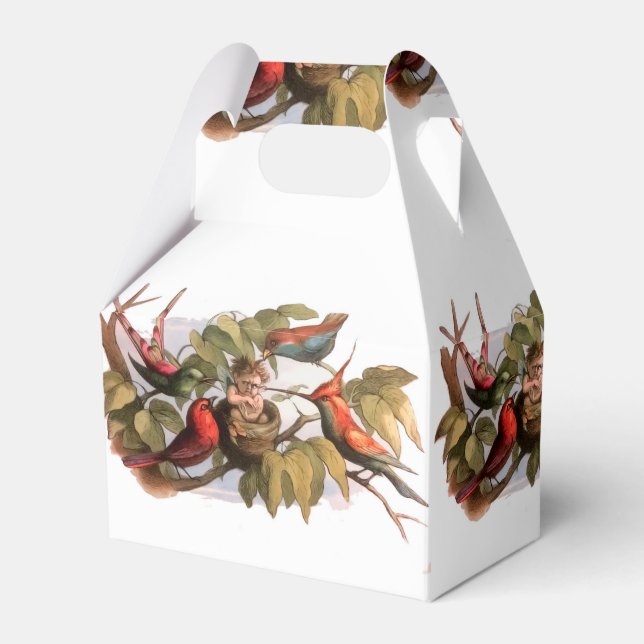 Waldelf im Nest: Antique Bird Sprite Fairy Geschenkschachtel (Vorderseite)