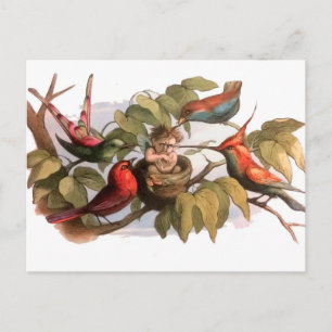 Waldelf im Nest: Antique Bird Sprite Fairy Postkarte