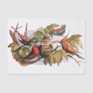 Waldelf im Nest: Antique Bird Sprite Fairy Seidenpapier