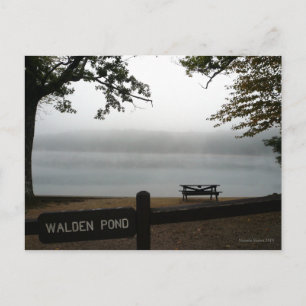Walden Pond carte postale contemplative
