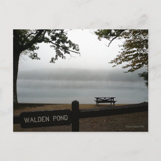 Walden Pond carte postale contemplative (Devant)