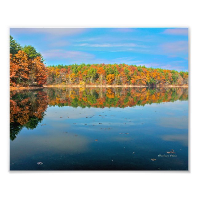 Walden Pond Foto Print (Vorne)
