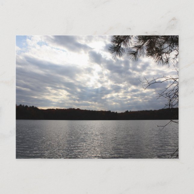 Walden Pond Postkarte (Vorderseite)