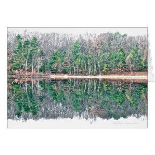 Walden Pond: Schönheit wahrnehmen mit einer ruhige