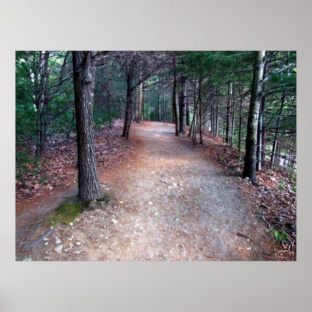Walden Pond Trail Print Poster (Vorne)