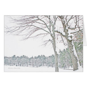 Walden Teich: Im Zen