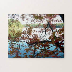 Waldenteich durch Herbstleaale