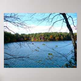 Waldenteich im Herbst Poster
