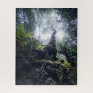 Wälder   Anaga Rural Park Kanarische Inseln