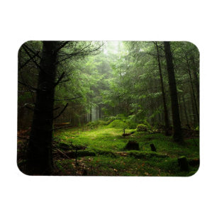 Wälder   Auvergne Frankreich Magnet