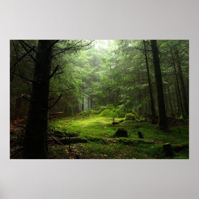Wälder | Auvergne Frankreich Poster (Vorne)