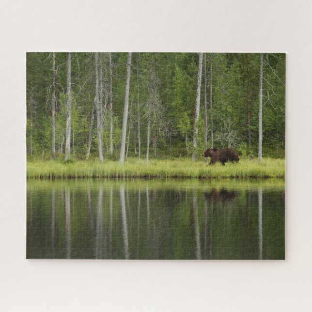 Wälder | Bären in Taiga Forest Nord Finnland (Horizontal)