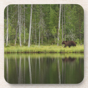 Wälder   Bären in Taiga Forest Nord Finnland Getränkeuntersetzer