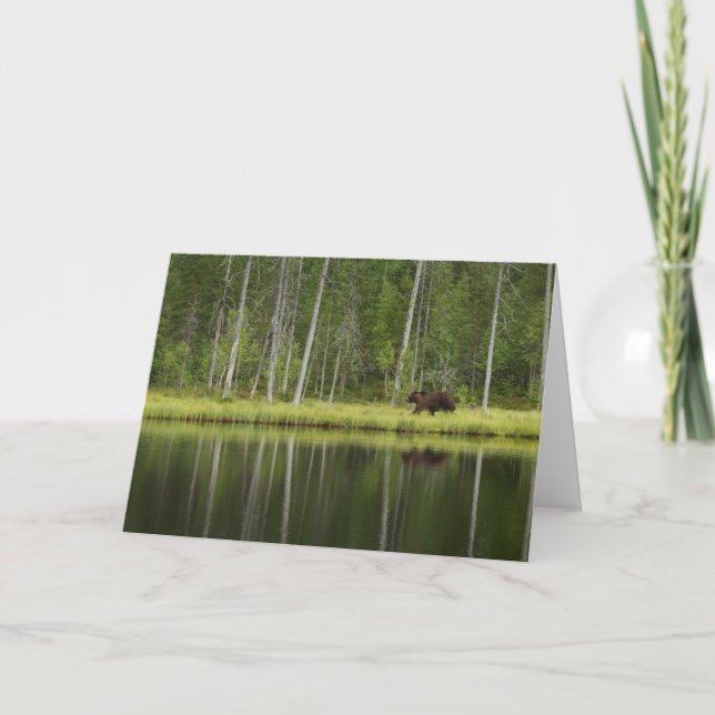 Wälder | Bären in Taiga Forest Nord Finnland Karte (Vorderseite)