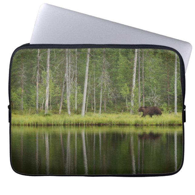 Wälder | Bären in Taiga Forest Nord Finnland Laptopschutzhülle (Vorderseite)