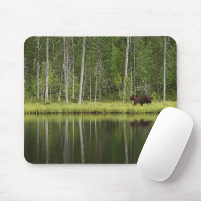 Wälder | Bären in Taiga Forest Nord Finnland Mousepad (Mit Mouse)