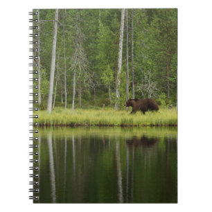 Wälder Bären in Taiga Forest Nord Finnland Notizblock