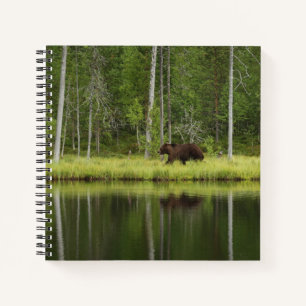 Wälder   Bären in Taiga Forest Nord Finnland Notizbuch