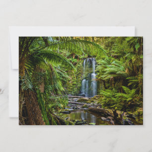 Wälder   Beauchamp Falls Australien Dankeskarte
