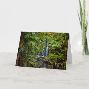 Wälder Beauchamp Falls Australien Karte