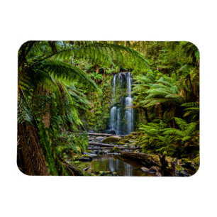 Wälder Beauchamp Falls Australien Magnet
