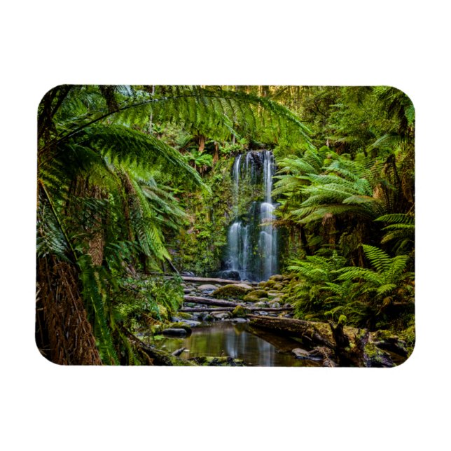 Wälder | Beauchamp Falls Australien Magnet (Horizontal)