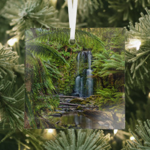 Wälder Beauchamp Falls Australien Ornament Aus Glas
