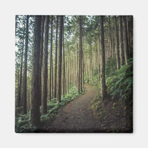 Wälder Berge Wakayama Japan Magnet