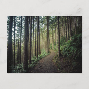 Wälder   Berge Wakayama Japan Postkarte
