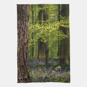 Wälder Bluebells in Belgien Geschirrtuch