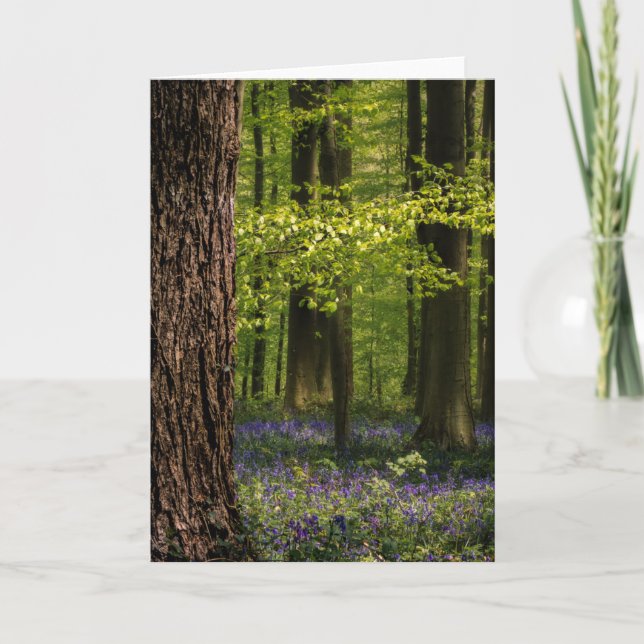 Wälder | Bluebells in Belgien Karte (Vorderseite)