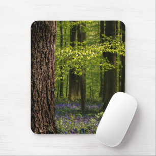 Wälder   Bluebells in Belgien Mousepad