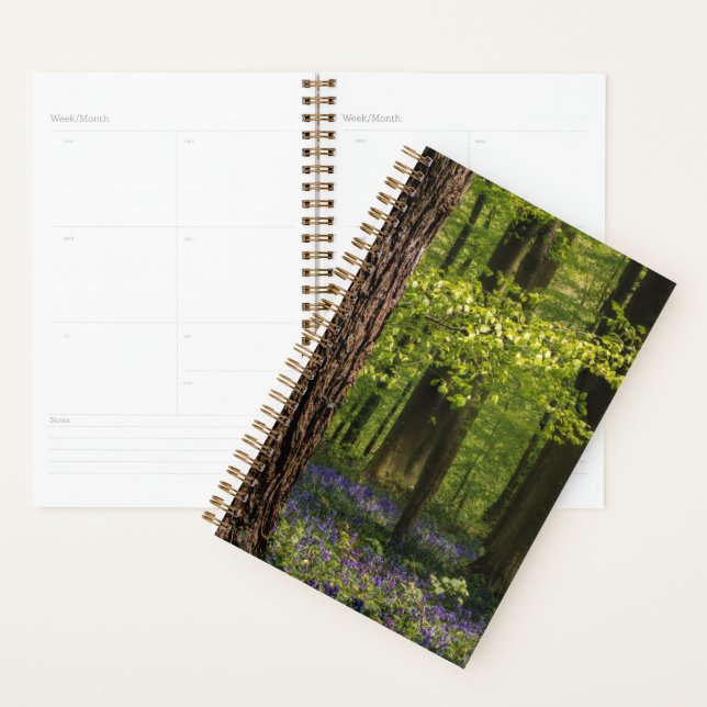Wälder | Bluebells in Belgien Planer (Anzeige)