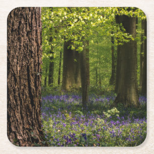 Wälder Bluebells in Belgien Rechteckiger Pappuntersetzer