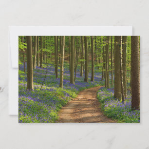 Wälder Bluebellwald in Belgien Dankeskarte