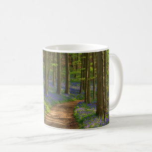 Wälder   Bluebellwald in Belgien Kaffeetasse