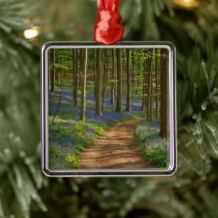 Wälder Bluebellwald in Belgien Ornament Aus Metall