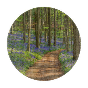 Wälder Bluebellwald in Belgien Schneidebrett