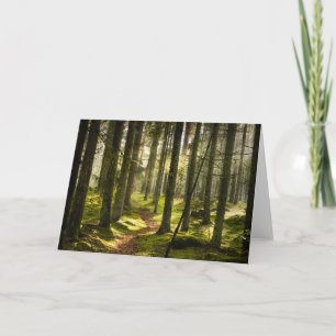 Wälder   Boreal Forest Schweden Karte