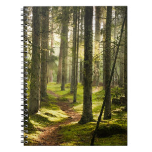 Wälder Boreal Forest Schweden Notizblock