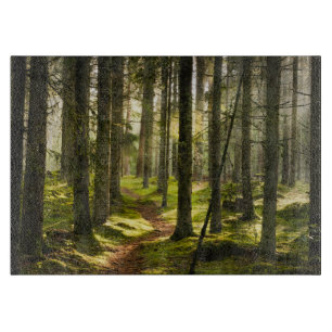 Wälder Boreal Forest Schweden Schneidebrett