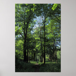 Wälder. Bute Park, Cardiff Poster