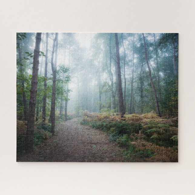 Wälder | Dark Foggy Woods Norfolk Vereinigtes Köni (Horizontal)