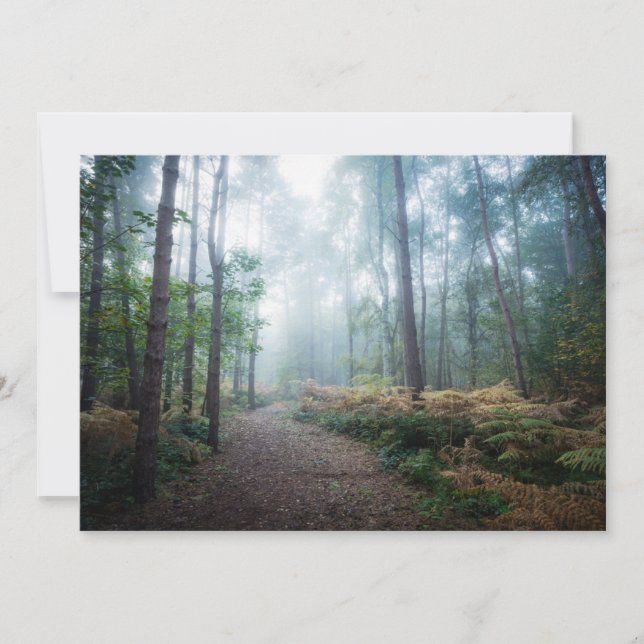Wälder | Dark Foggy Woods Norfolk Vereinigtes Köni Dankeskarte (Vorderseite)