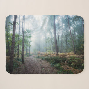 Wälder Dark Foggy Woods Norfolk Vereinigtes Köni Sherpadecke
