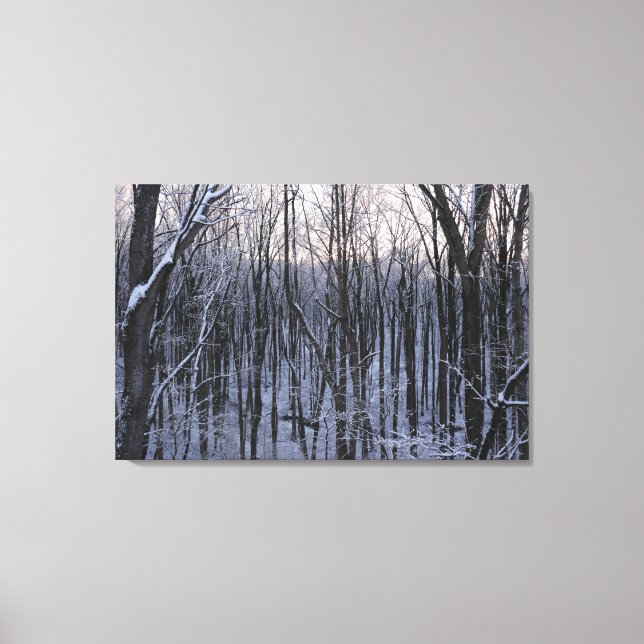 Wälder der Schneebaume Leinwanddruck (Vorderseite)