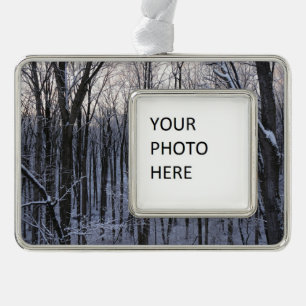 Wälder der Schneebaume Rahmen-Ornament Silber