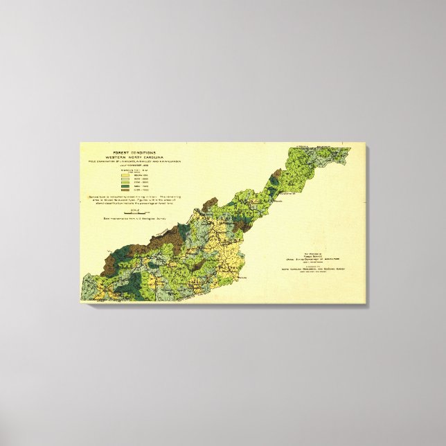 Wälder des Westerns North CarolinaPanoramakarte Leinwanddruck (Vorderseite)